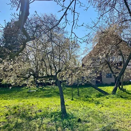 Grosses An Der Ostsee 